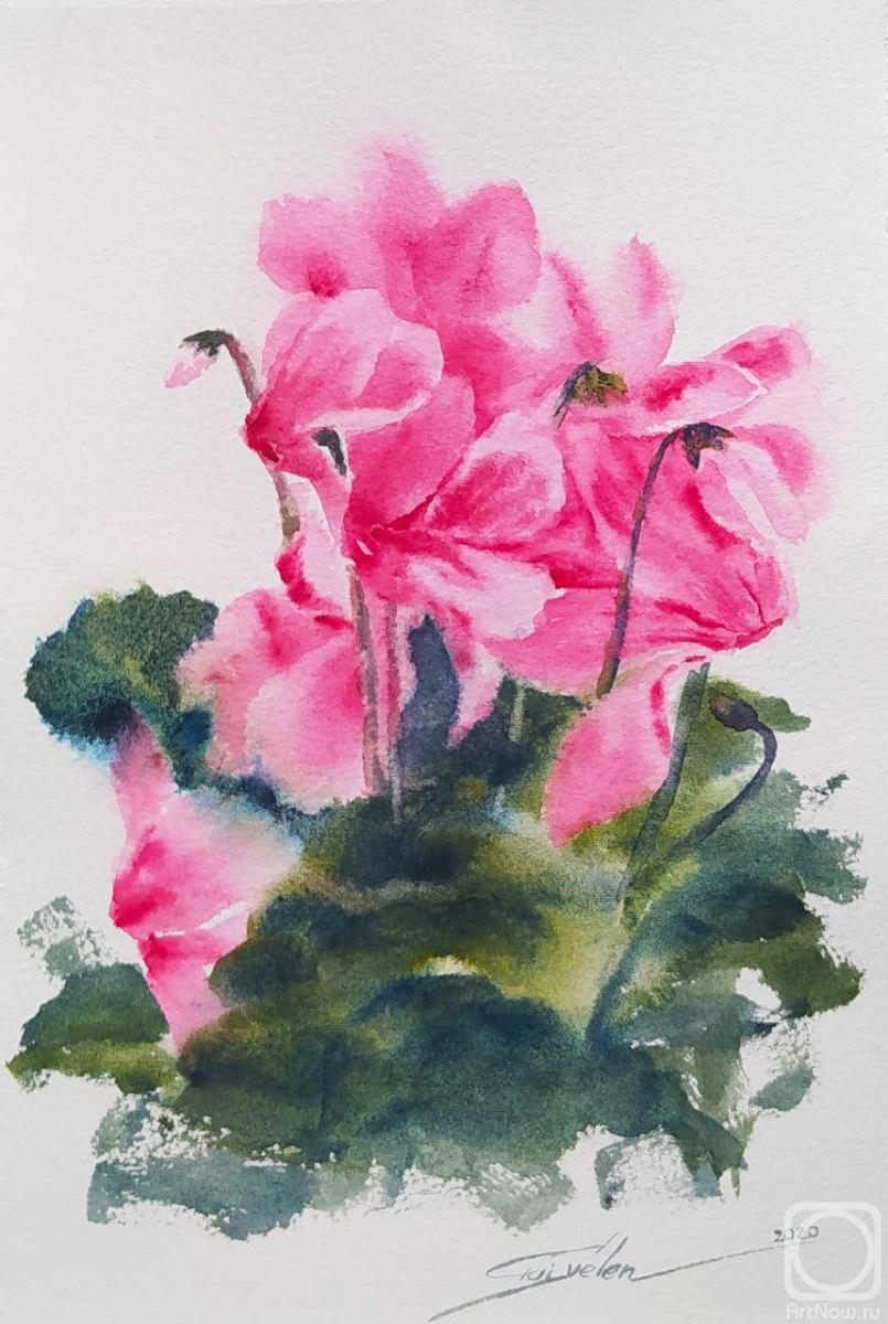 �������. ������������ �����. ���������� ���������