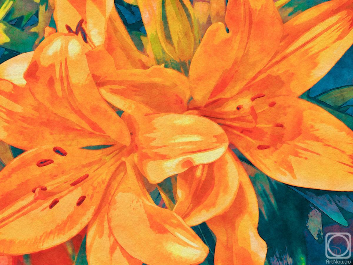 �������. ������� ������. ����� � ����