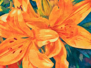 ����� � ����