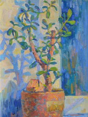 ������ �����. ������ �����