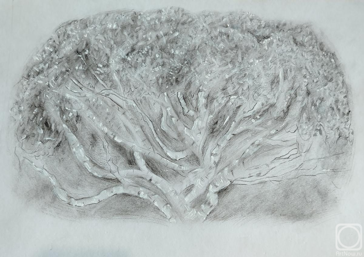 Letyagin Nikolay. Untitled