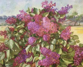 ������ � ���� ����. ������ ���������