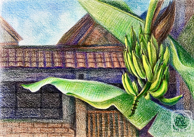 �������. �������� ������. ������. ��������� �����