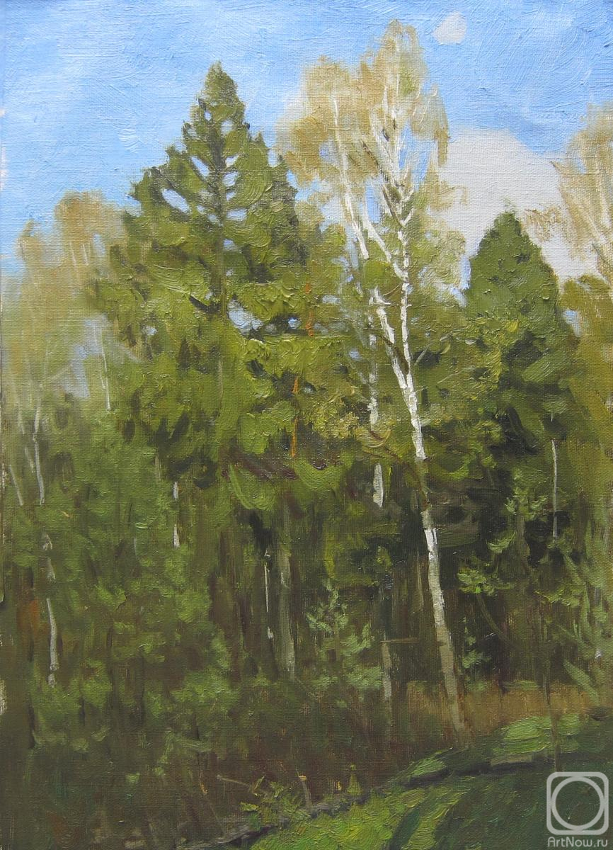 ������� ������ �� ������. ������ ������. ���� � �������� ����