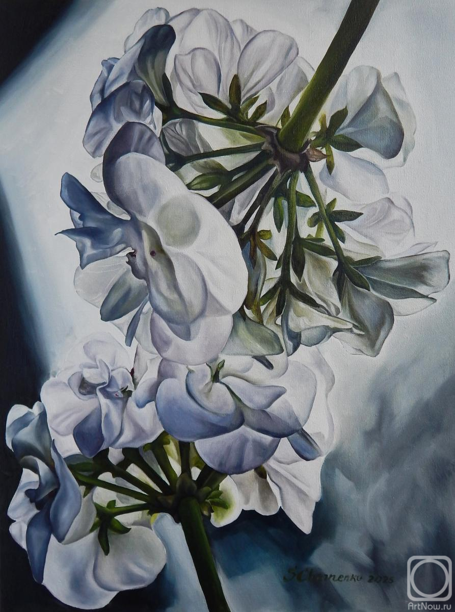 ������� ������ �� ������. �������� ��������. ����������