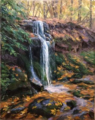 ������ �������. ĸ��� �����