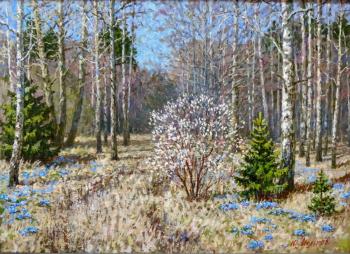 ������� �� �������� ����