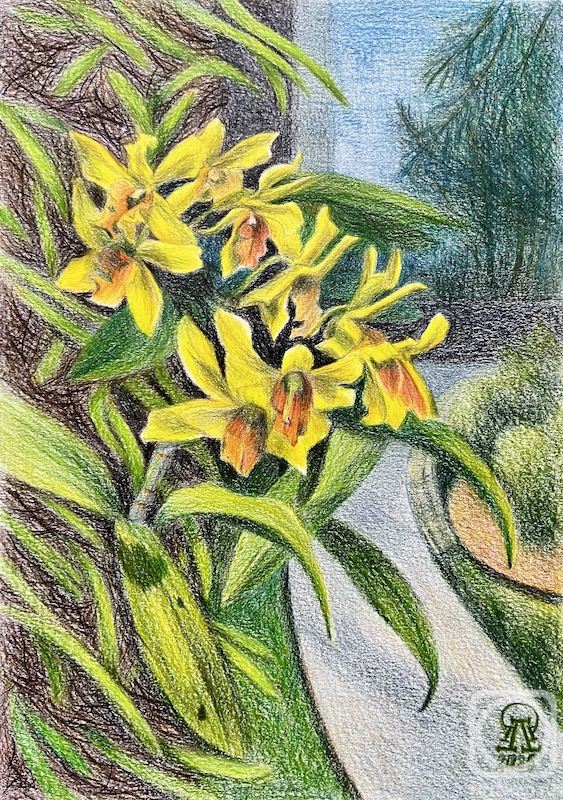 �������. �������� ������. ������. ������ �������