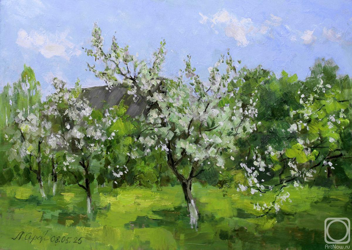 �������. �������������� ������. ��������� ���� � ����