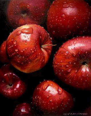 ������� ������. ������������ ��������