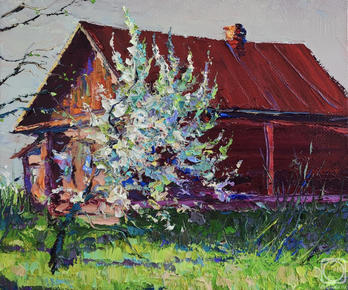 ������� ������ �� ������. ���������� �������. �������� ���