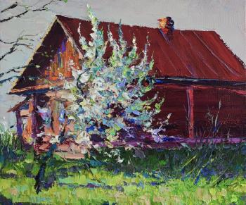 �������� ���. ���������� �������