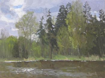 Untitled. Chertov Sergey