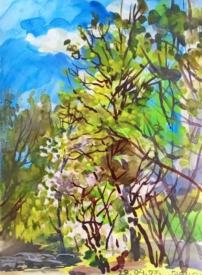 �����, ����� � ����. ������������� �����