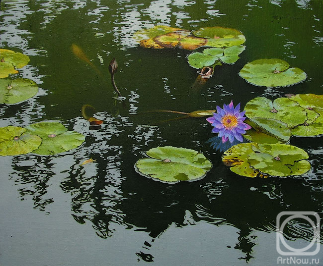 ������� ������ �� ������. ������ ϸ��. ����