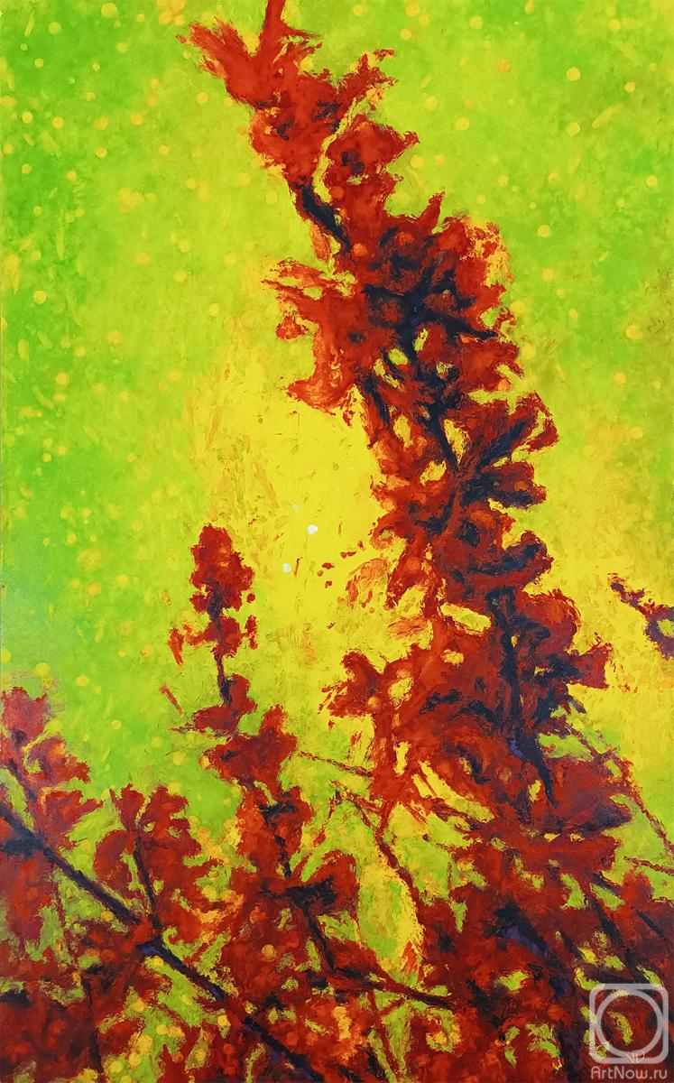 �������. ������� ������. �������� ���