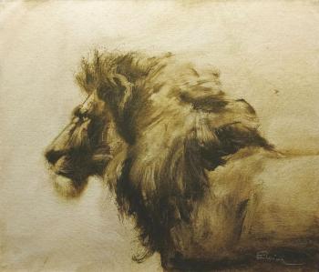 ������� �Umbra�