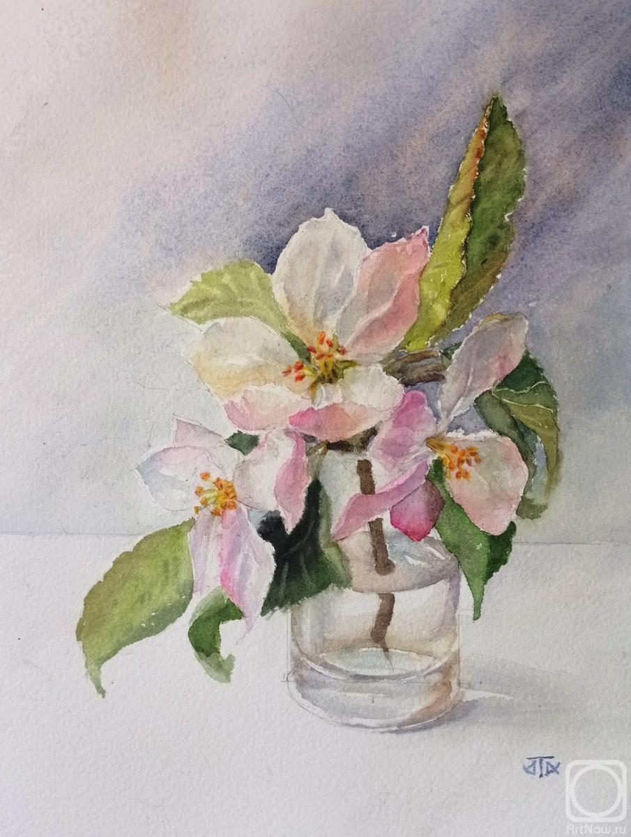 �������. �������� �����. ������� ������