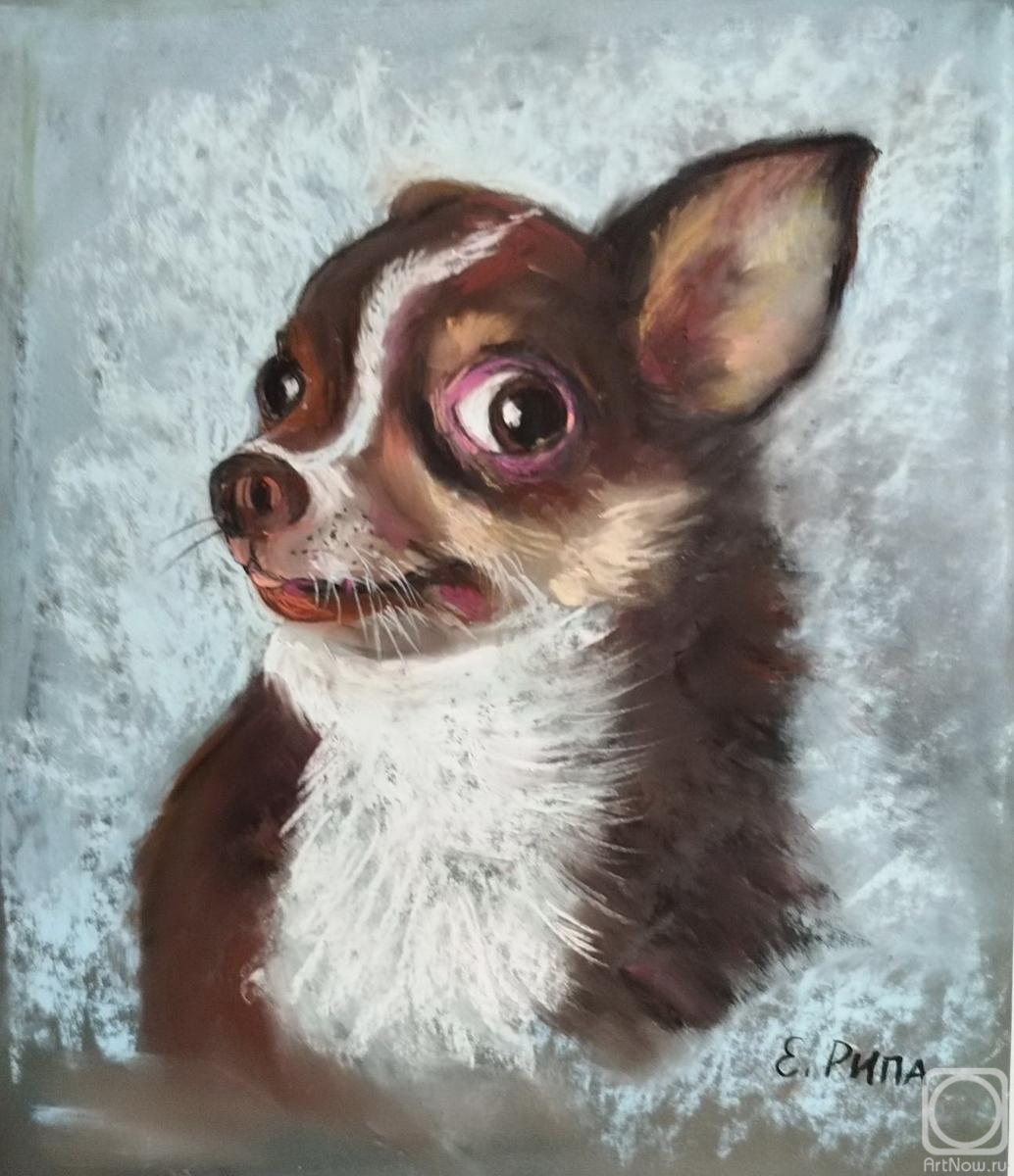 �������. ���� �����. �������� (��� ���-�� �������!)