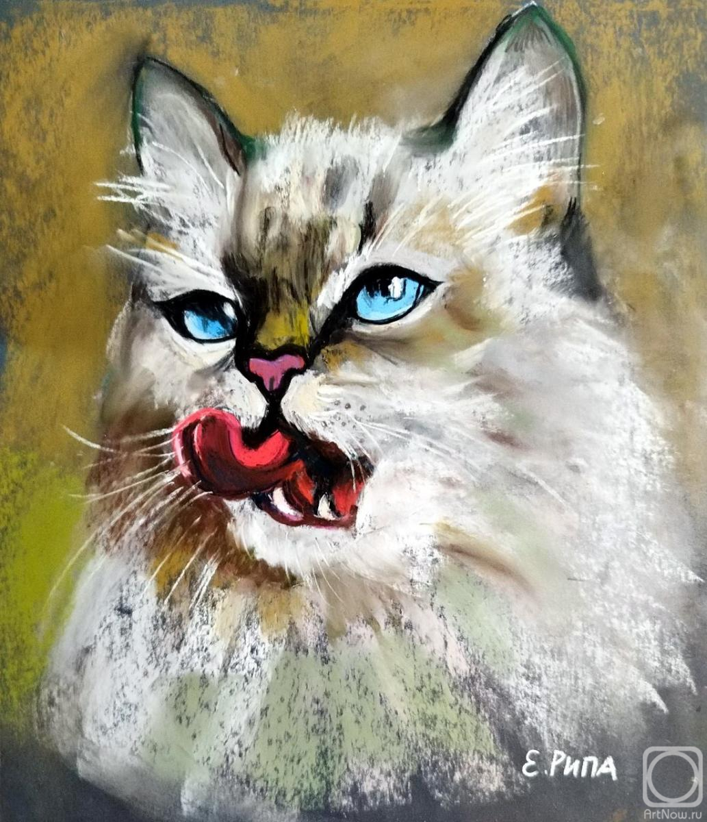 �������. ���� �����. ��� ����- ���!