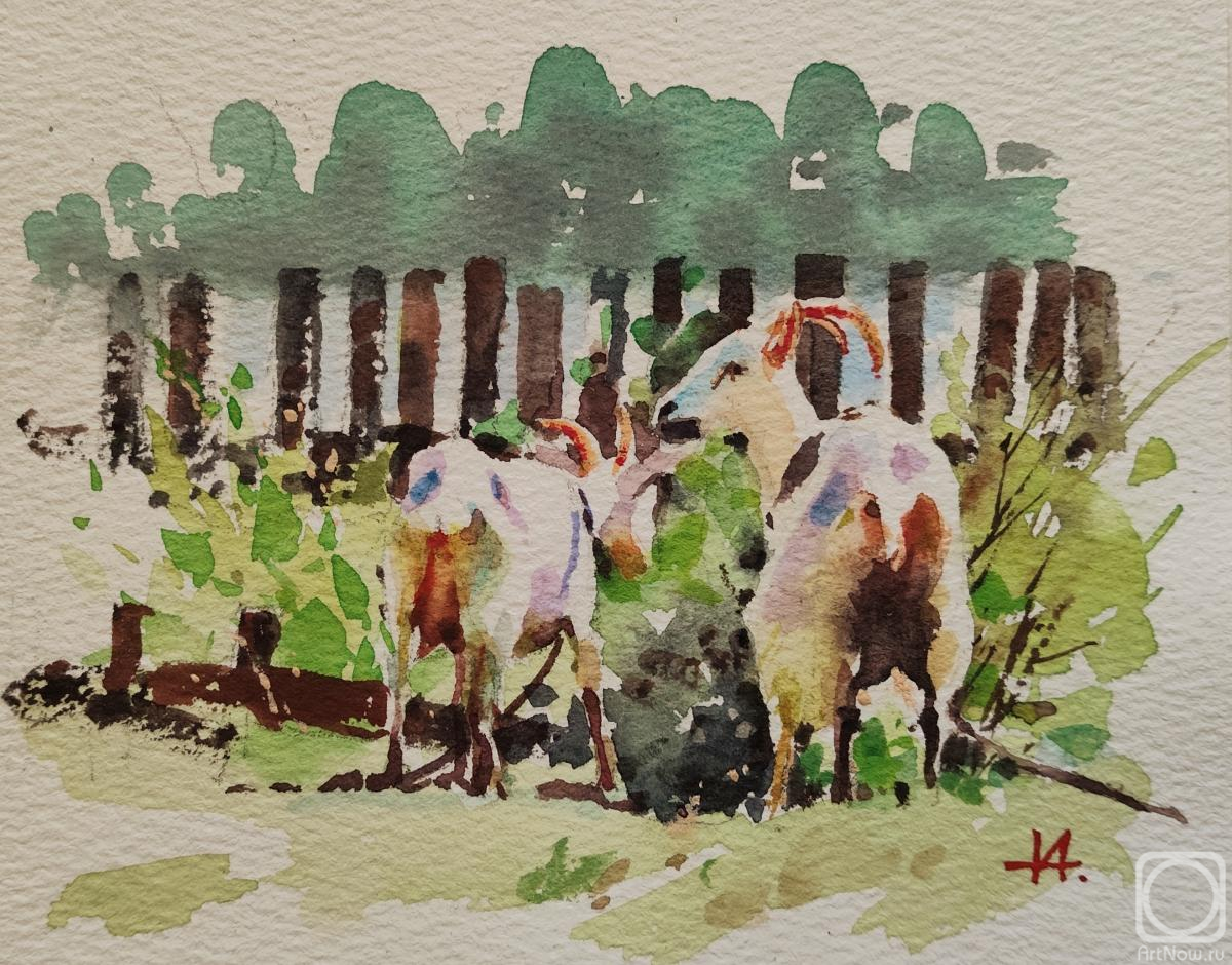 �������. ������� �����. ������ �������