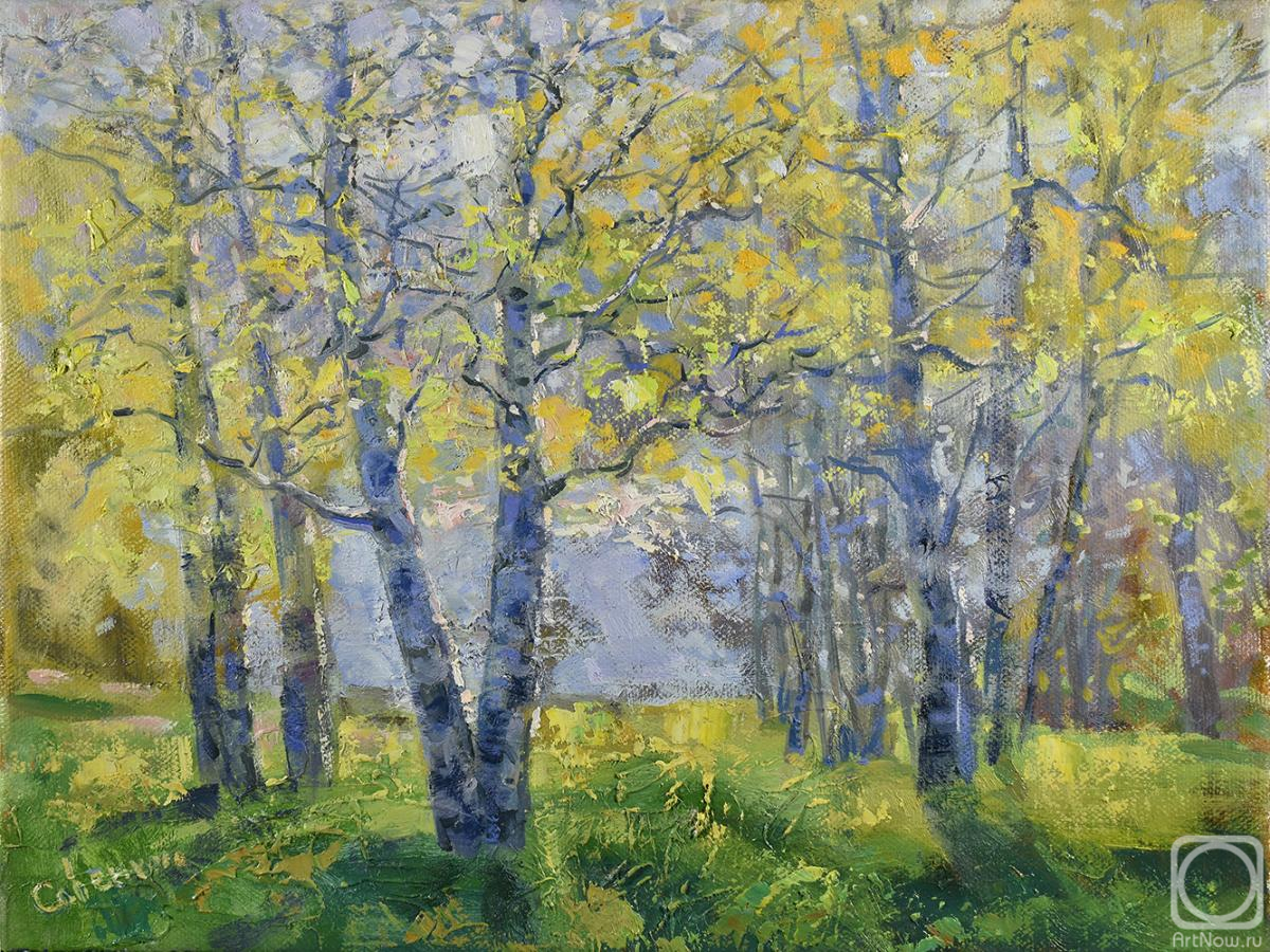 ������� ������ �� ������. ��������� �������. �������� ������