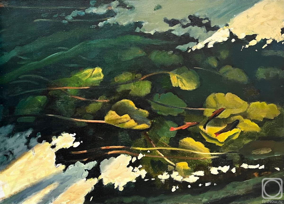 ������� ������ �� ������. ��������� �����. �����