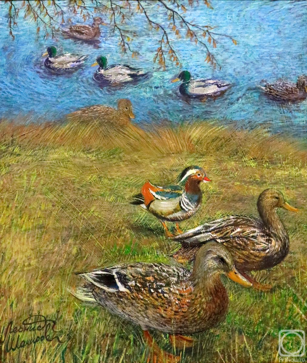 �������. ������� ������. �����