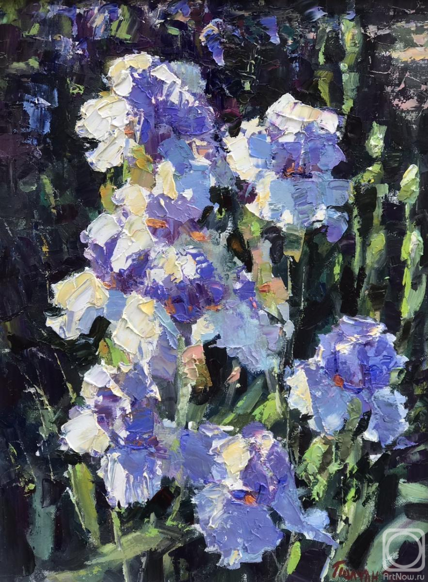 Poluyan Yelena. Champagne splashes