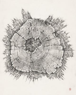 ������� ������� �������