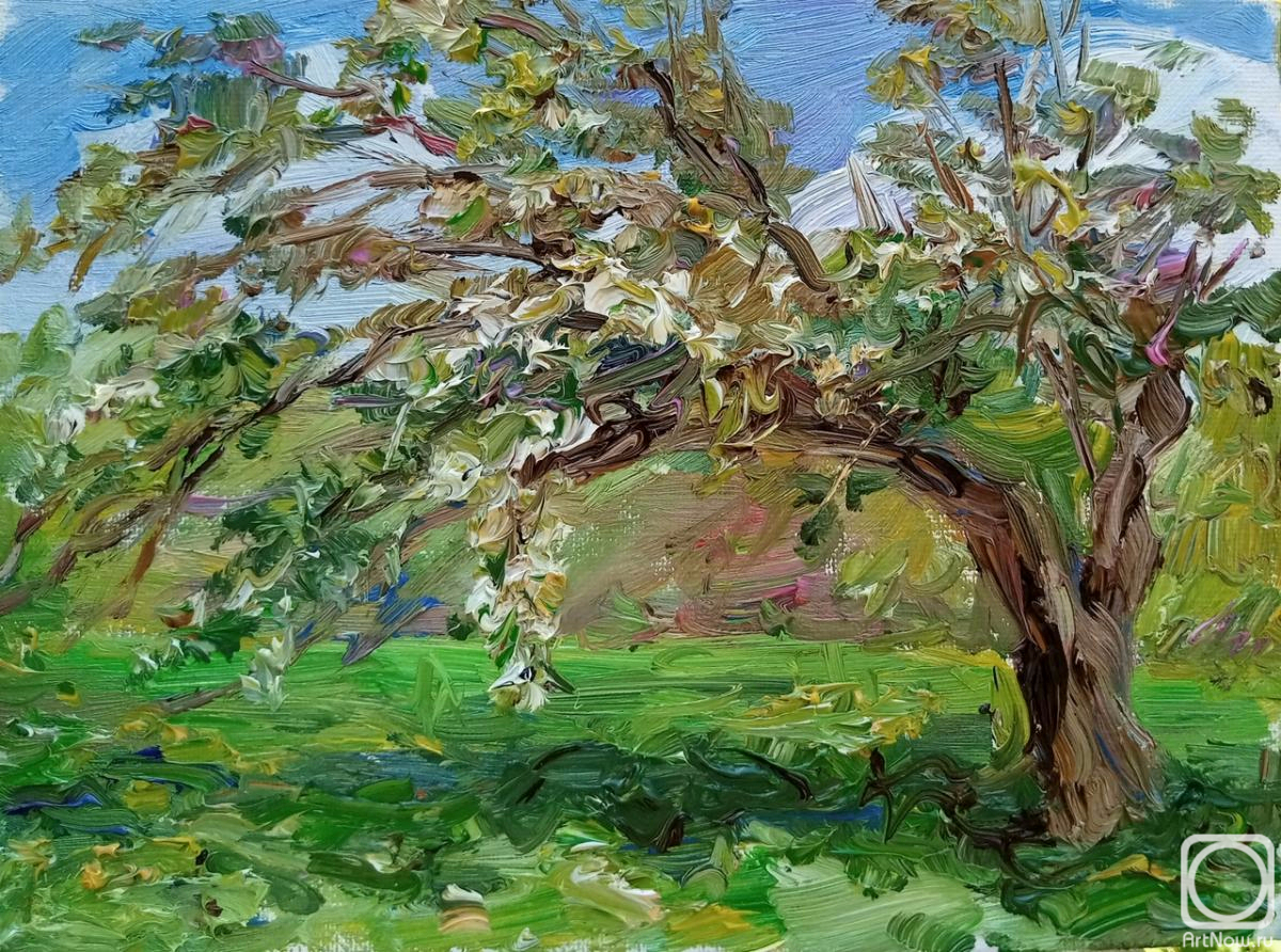 Novikova Marina. Untitled