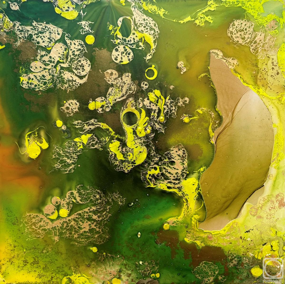 Amelchenko Aleksandra. Alive