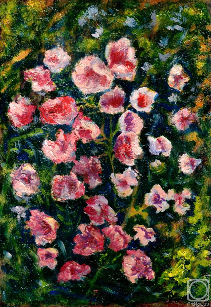 �������. ������� ��������. ��������