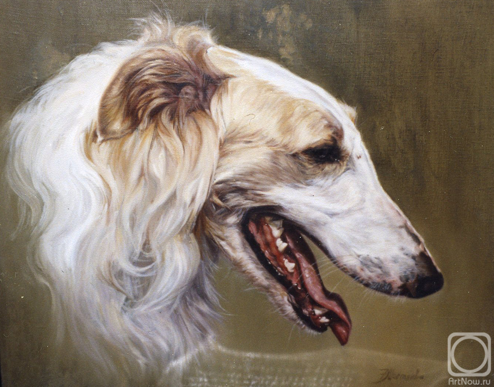 ������� ������ �� ������. �������� �������. ������� ������� ������ ������