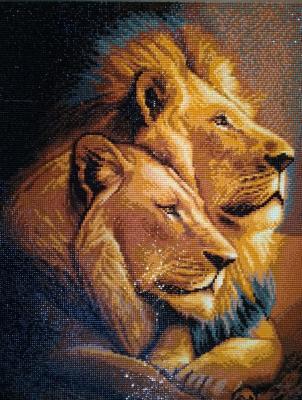 ���� �� ������. ������ ��������