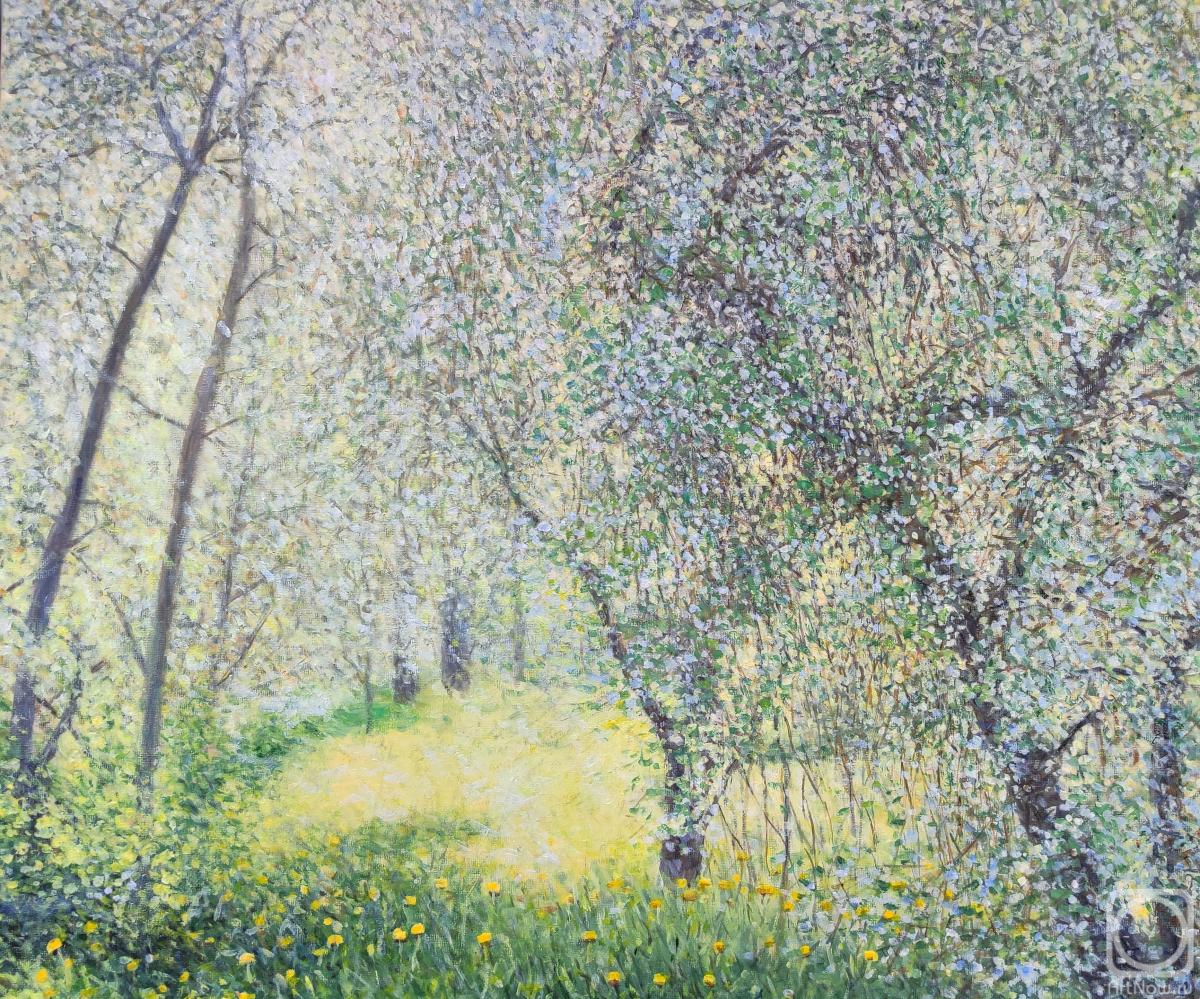 ������� ������ �� ������. �������� ������. �����