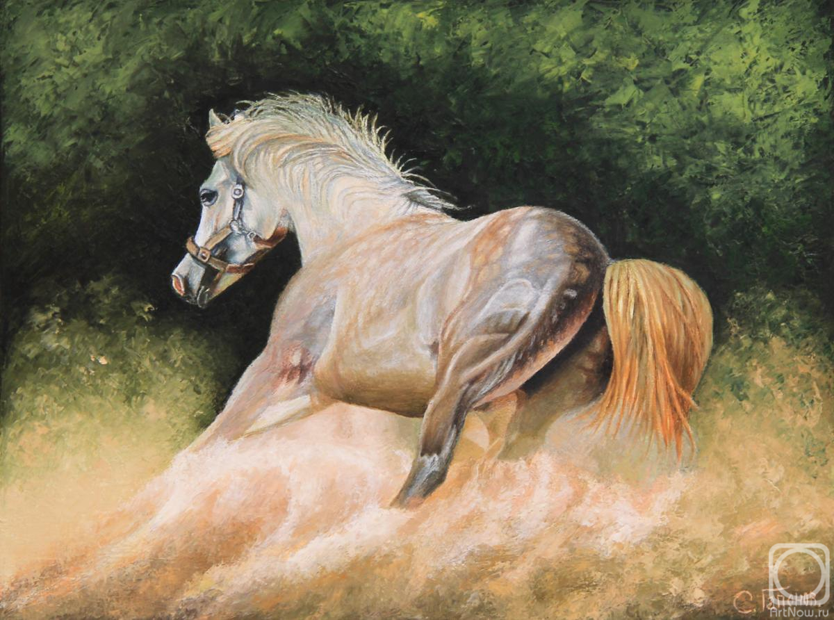 ������� ������ �� ������. ������� ������. �������