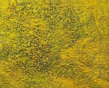 �����������. ������ �������