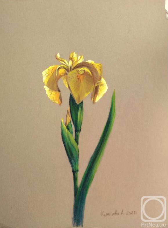 �������. ��������� ���������. Ƹ���� ����