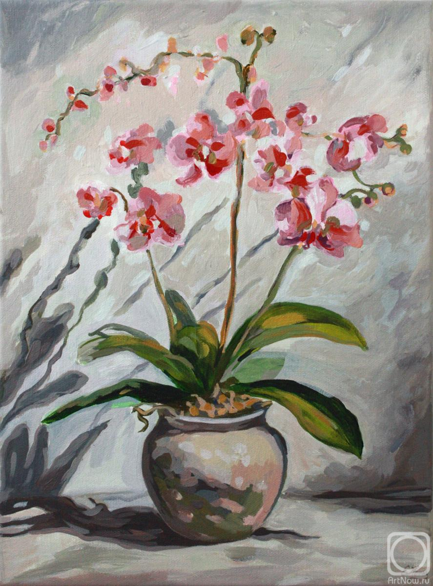 ������� ������ �� ������. �������� �����. �������� �������