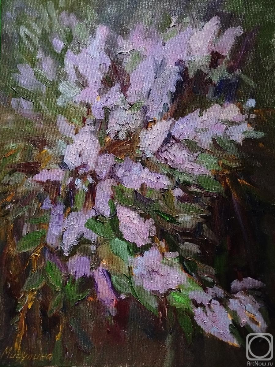 ������� ������ �� ������. �������� �����. ������� ��� ��������