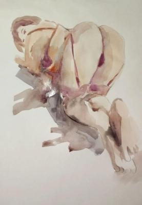 ������� �NU #.....�