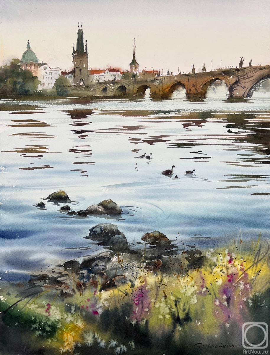 �������. ��������� �������. ��������� ������� �����