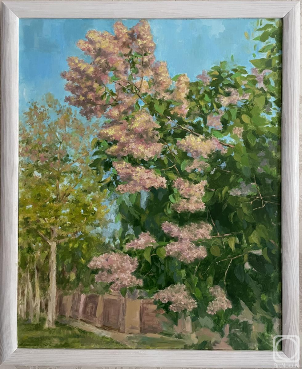 ������� ������ �� ������. ��������� �����. ��������� �����