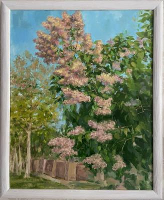 ��������� �����. ��������� �����