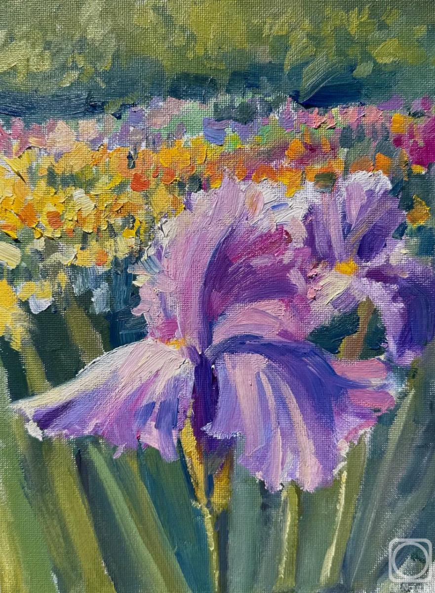 �������. �������� �����. ����