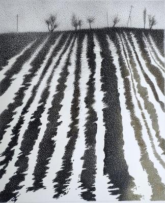 �������� ������. �������� ����