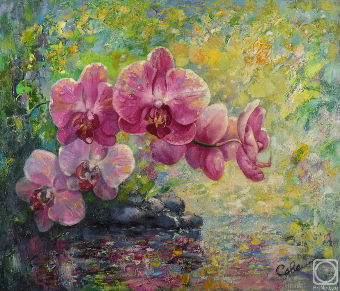 ������� ������ �� ������. ��������� �������. �������