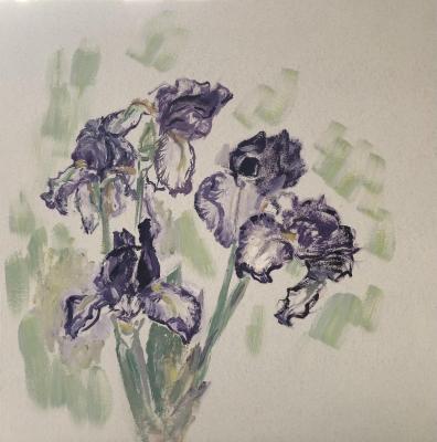 ���� ������,  ����� � ����������