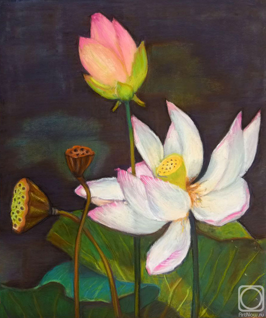 �������. ������� ����. ������